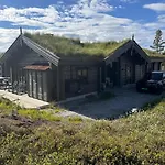 Large Dream On Vegglifjell