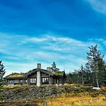 Large Dream On Vegglifjell