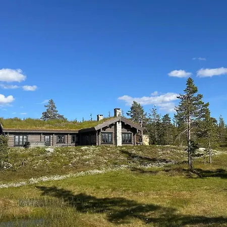 Large Dream On Vegglifjell *