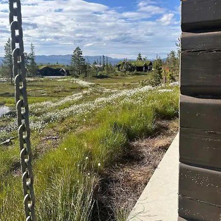 Large Dream On Vegglifjell *