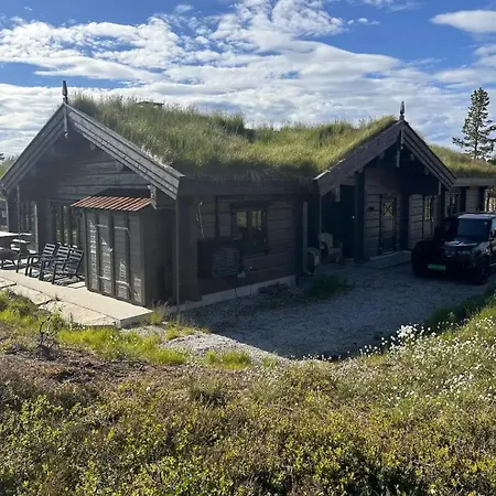 Large Dream On Vegglifjell