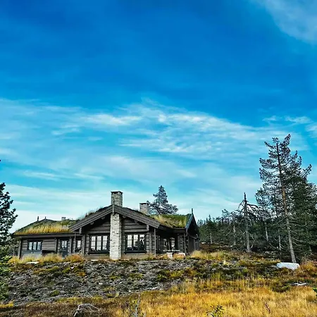 Large Dream On Vegglifjell