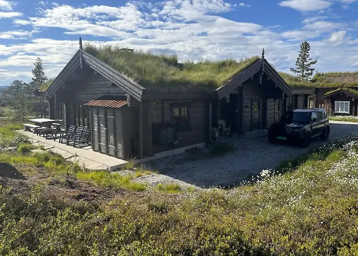 Large Dream On Vegglifjell