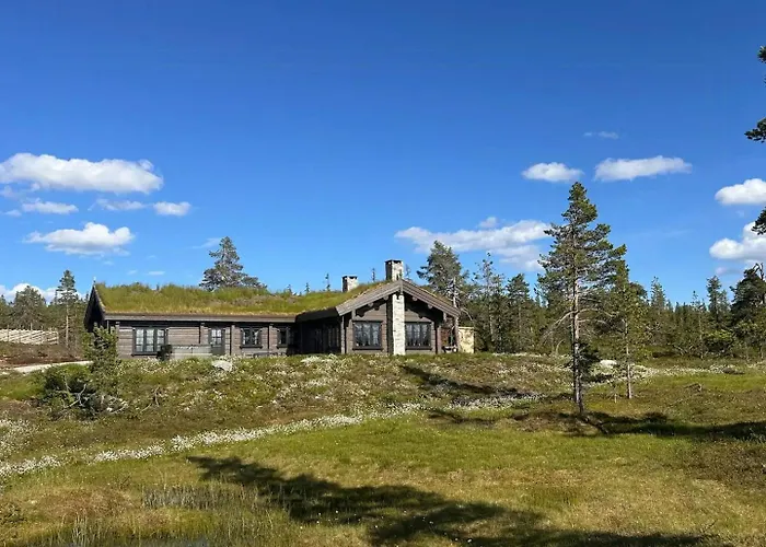 Large Dream On Vegglifjell *