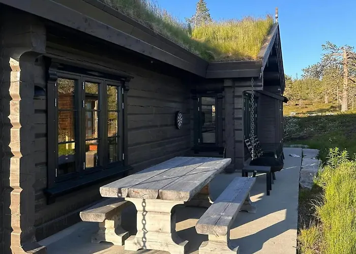 Large Dream On Vegglifjell * Veggli