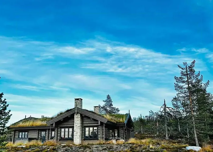 Large Dream On Vegglifjell